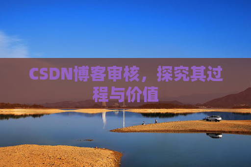CSDN博客审核，探究其过程与价值