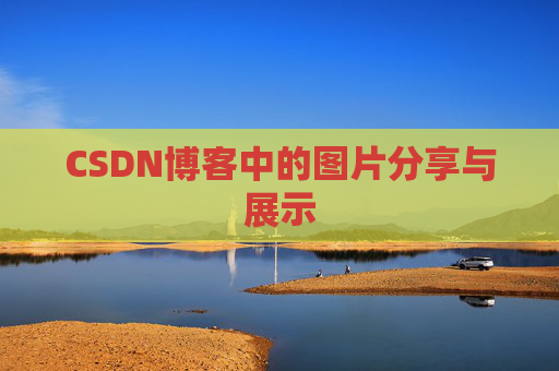 CSDN博客中的图片分享与展示